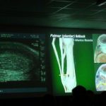 Erdil Veteriner At Polikliniği Diagnostik Görüntüleme Fotoğrafları