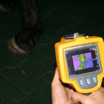 Erdil Veteriner At Polikliniği Ortopedi Fotoğrafları