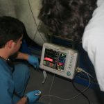 Erdil Veteriner At Polikliniği Cerrahi Fotoğrafları