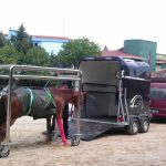 Erdil Veteriner At Polikliniği Mobil Sağlık Hizmeti ve Kurtarma Aracı Fotoğrafları
