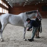 Erdil Veteriner At Polikliniği Ortopedi Fotoğrafları