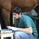 Erdil Veteriner At Polikliniği Ortopedi Fotoğrafları