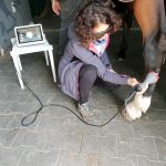Erdil Veteriner At Polikliniği Fizik Tedavi ve Rehabilitasyon Fotoğrafları