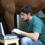 Erdil Veteriner At Polikliniği Diagnostik Görüntüleme Fotoğrafları
