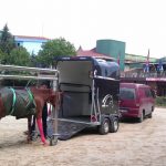 Erdil Veteriner At Polikliniği Mobil Sağlık Hizmeti ve Kurtarma Aracı Fotoğrafları