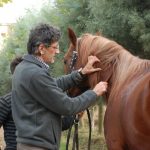 Erdil Veteriner At Polikliniği Dahiliye Hizmeti Fotoğrafları